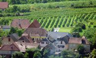 Das Weingut von der Achleiten aus betrachtet